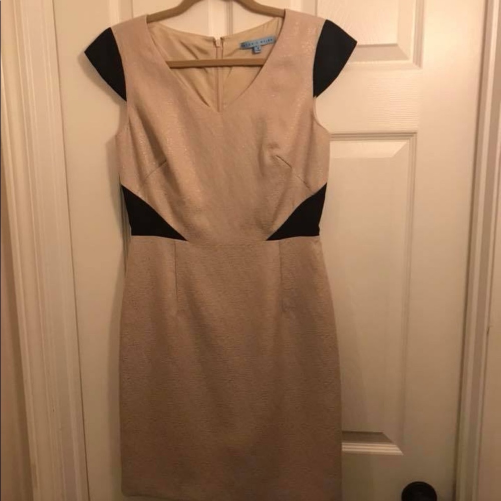 Antonio melani crepe and silk dress
